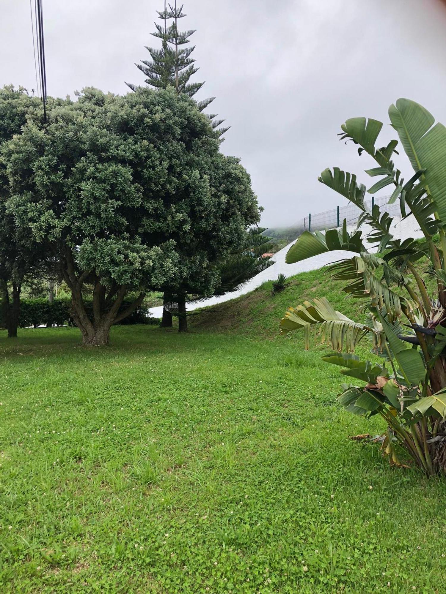 Vivenda Flor Vakantiehuis Ponta Delgada